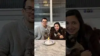CRIANDO MEMÓRIAS COM A TREND DO FANTASMA QUE VOA😹
