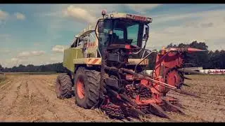 🔥Nuta do akcji qq 2020 SPECIAL 🔥