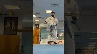OHAN DAI KATA TRAINING | ENDING SECTION PRACTICE