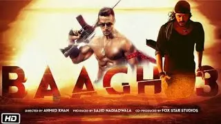 Baghi 3 Bollywood Full HD Movie Story By | Agent info lab