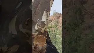 outback gorge near Alice Springs