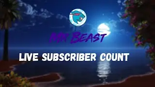 MrBeast Live Subscriber Count | shorts 