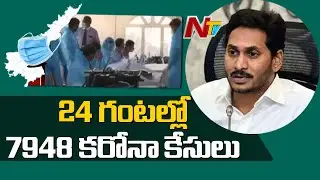 7948 New Corona Positive Cases Recorded In Andhra Pradesh | AP Corona Updates | NTV