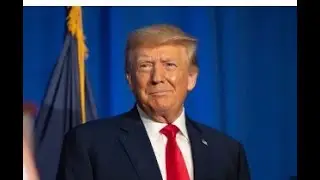 Donald Trump charged with four counts in election interference case | Donald Trump | World  Today