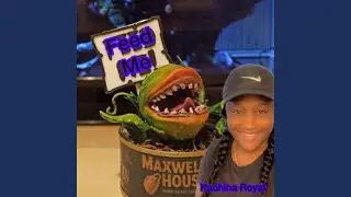 Feed Me