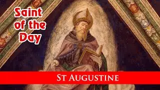 St Augustine - Saint of the Day with Fr Lindsay - 28 August 2023