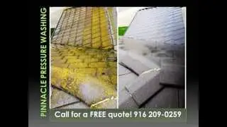 Roof Cleaning Sacramento - Mold, Mildew, Lichen, and Dirt Removal