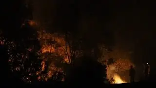 Four homes have been lost to the NSW fires