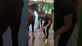 Mineral Spa Clay&Hoof Spack