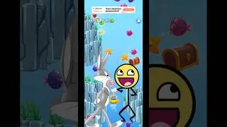 Funny Bunny and Tom😱