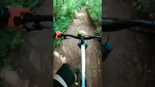 Tatum Park Trails!.    #mtb #mtblife #mtbtrails #njtrails #mtbnj #njmtb #mtbiking