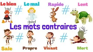 Apprendre les mots contraires en fran&ccedil;ais.