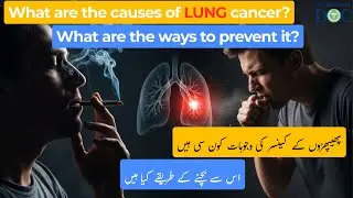 Lung Cancer Causes & Prevention: How to Protect Your Lungs