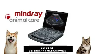 Mindray Vetus E5 Veterinary Portable Ultrasound Does Something Most Vets Don't Expect