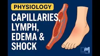 #Physiology #CVS  -  Capillary, lymph., edema & shock (part 1) | #Concise #Modules