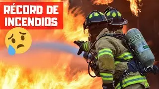 Fuego en Amazonas #prayforamazonas