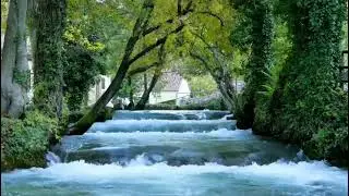 Relaxing Nature's sound, Relax Nature music, Natural medicine, naturopathy, water soothing music 🌊💦