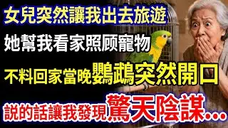 我66歲，女兒突然讓我出去旅遊，她幫我看家照顾寵物，不料回家當晚鸚鵡突然開口，説的話讓我發現驚天陰謀...#家庭故事 #感人故事 #家庭倫理 #感人故事 #真實生活