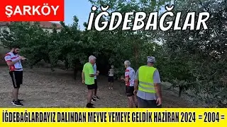 İĞDEBAĞLARDAYIZ DALINDAN MEYVE YEMEYE GELDİK HAZİRAN 2024  = 2004 =