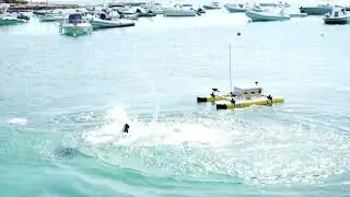 Marine Robots for IAS Control - Short version