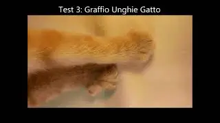 Tessuto Anti Graffio Per Divani. Il  Miglior Tessuto Anti Gatto Per Proteggere il tuo salotto.