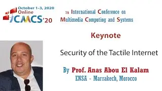 Security of the Tactile Internet