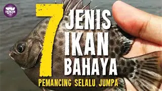 Ini 7 jenis ikan yang ada sengat ‘maut’....