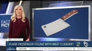 Fact or Fiction: Passenger caught with meat cleaver on recent Delta flight?