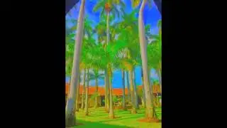 Calor de verano (Latin piano driven instrumental)