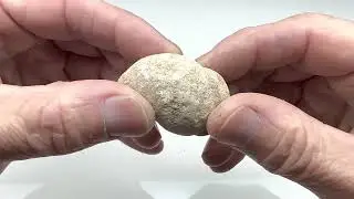 Is it Possible to Polish a Limestone Fossil on a Cabbing Machine?