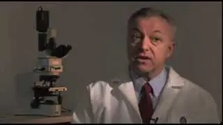 George Q. Daley discusses the potential for stem cell-based therapies.