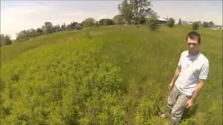 Shelter Belt Project