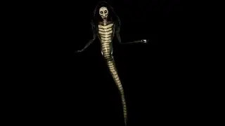 Isamu, Serpent-Slayer (Ingame version)