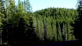 Lake Louise to Banff via Bow Valley Parkway 1A Drivelapse