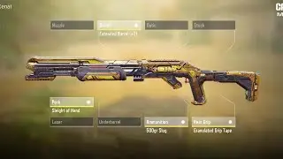 320 CP Epic BY15 AMS Pro-Grade Digital Ironsight CoD Mobile