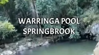 How to get to Warringa Pool | Springbrook | Gold Coast