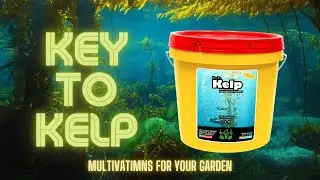 Key to Kelp | Your Gardens Multivitamin