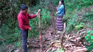 somuhang and manjita collecting & taking firewood towards their shed || shepherd life of Nepal ||
