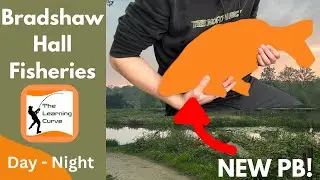 DAY & NIGHT FISHING at Bradshaw Hall Fisheries - NEW PB!