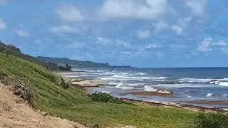 one hour of the sound of wind and waves. East Coast #barbados #atlanticocean #relaxing #wavesounds 