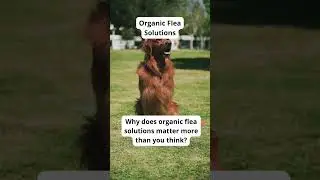 Stop Plastic Waste with Eco Poop Bags (Eco Tip #17).5