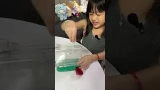 HOW TO GROW A &ldquo;SEA MONKEY&rdquo;? || Asha&rsquo;s Fun and Adventure.
