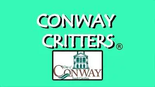 Beauregard the Bear Conway Critters 10 13 17