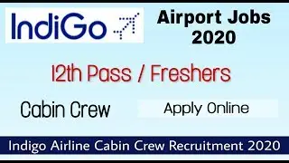 Indigo Airline 12th Pass Job 2020 I Cabin Crew I Apply Online