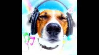 [FREE FOR PROFIT] Hyperpop x Pop Type Beat - 