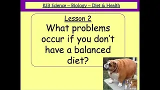 Year 7 - Biology - Lesson 2 - What problems occur if you don't have a balanced diet?