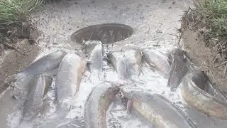 Amazing! Hole Fish Trap System | Two Man Build Deep Hole Fish Trap Using Plastic