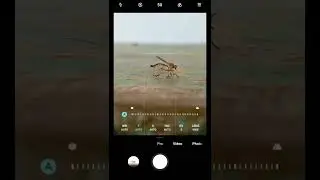 Macro photography Tricks Ft.Robber flies 👀🤯