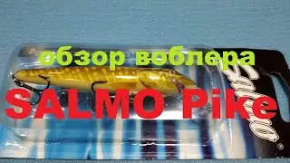 Видеообзор воблера SALMO Pike  по заказу Fmagazin