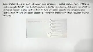 During photosynthesis, an electron transport chain transports __ excited electrons from P700 to an e